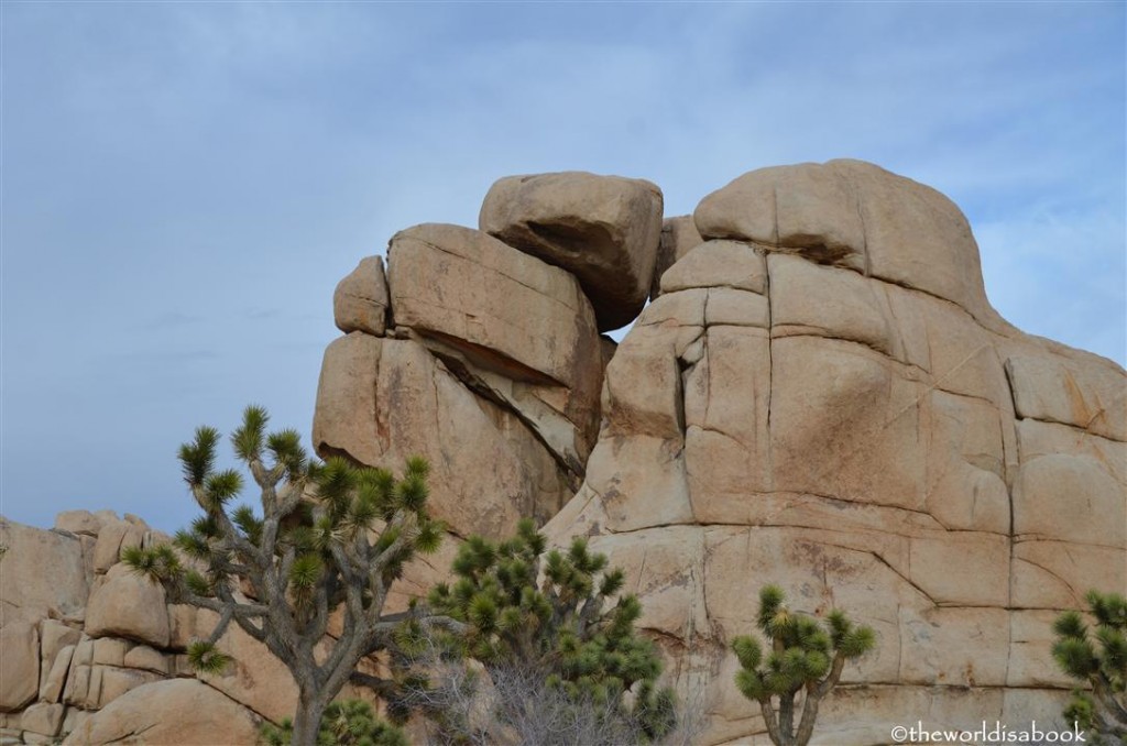 Joshua tree rock pile