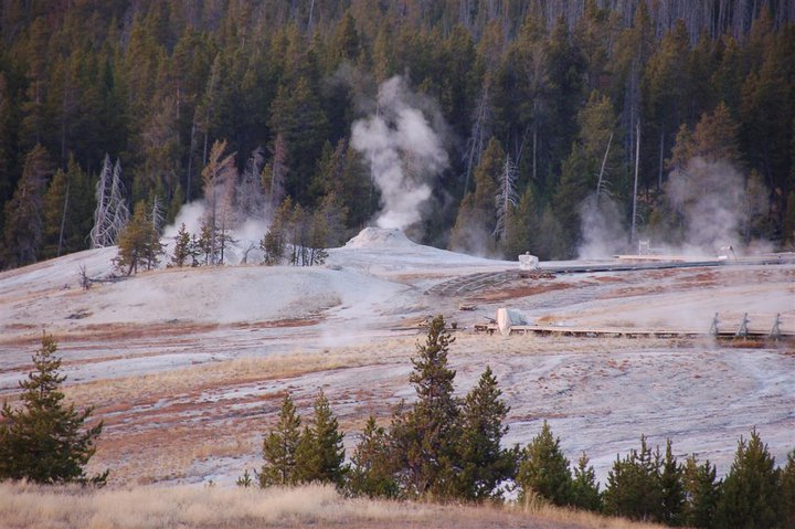 Yellowstone geyser