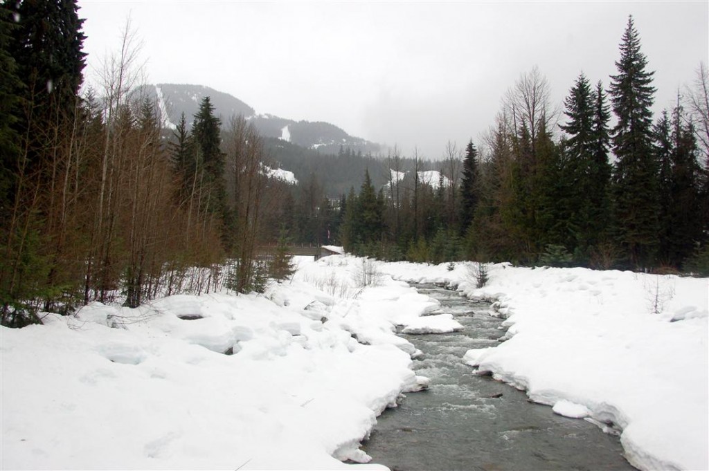 Whistler frozen river