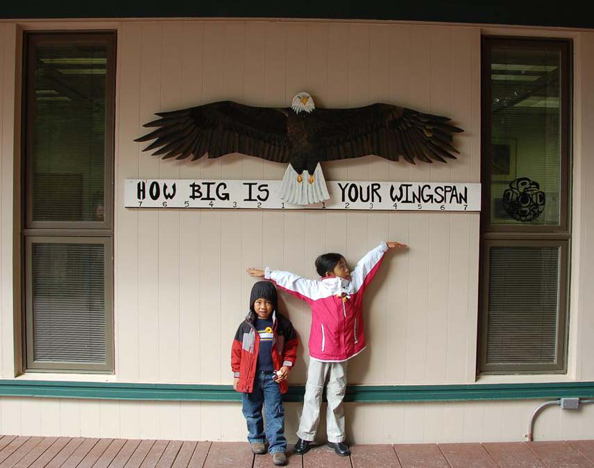 Alaska Raptor Center