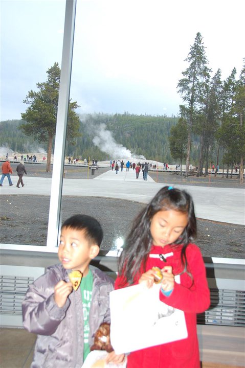 Yellowstone Junior Rangers