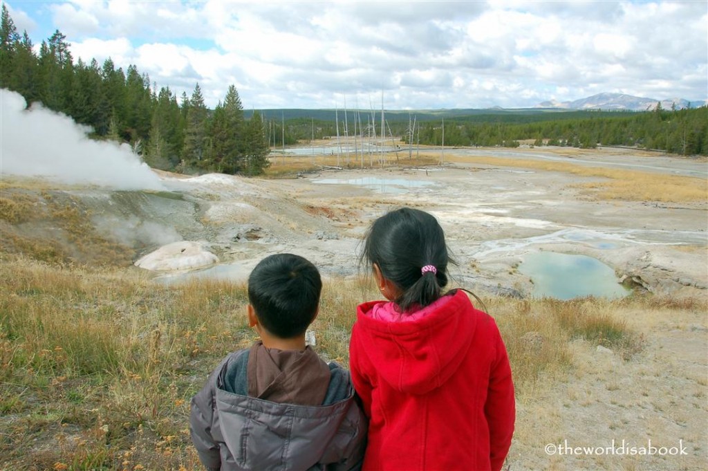 yellowstone national park with kids
