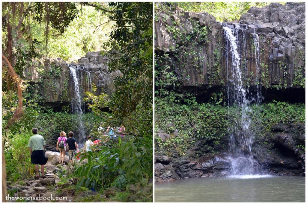 Twin Falls - Hana Highway Mile Marker 2