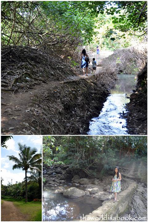 Twin Falls trail - Hana Highway Mile Marker 2