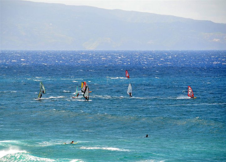 Hookipa wind surfers