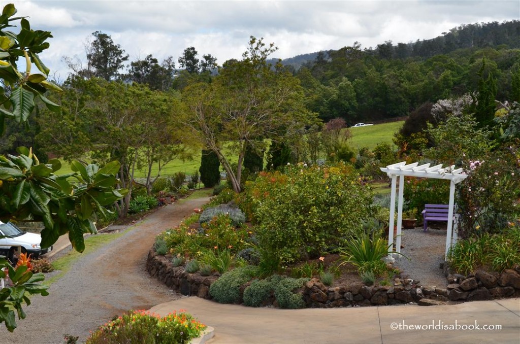 Alii Kula lavender farm