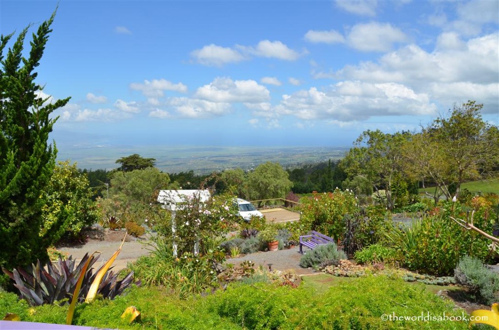 Alii Kula lavender farm