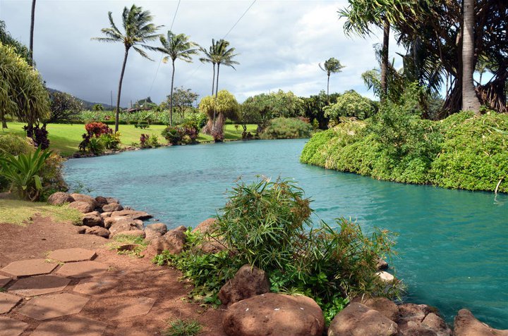 Maui tropical plantation