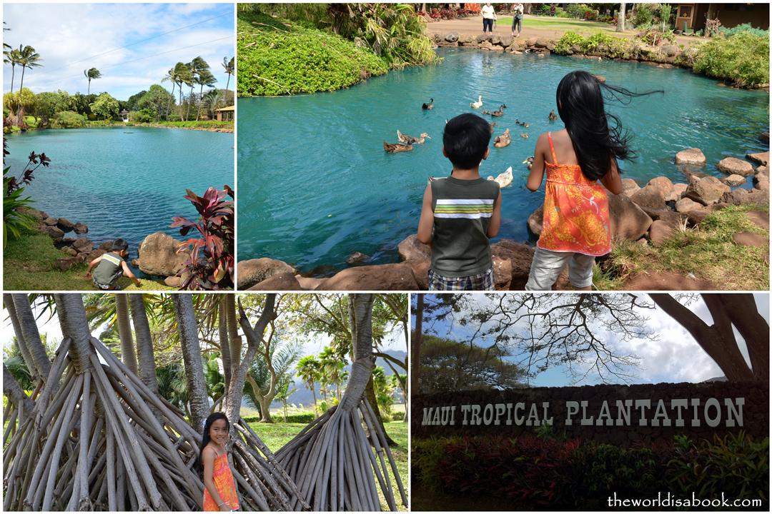 Maui Tropical Plantation