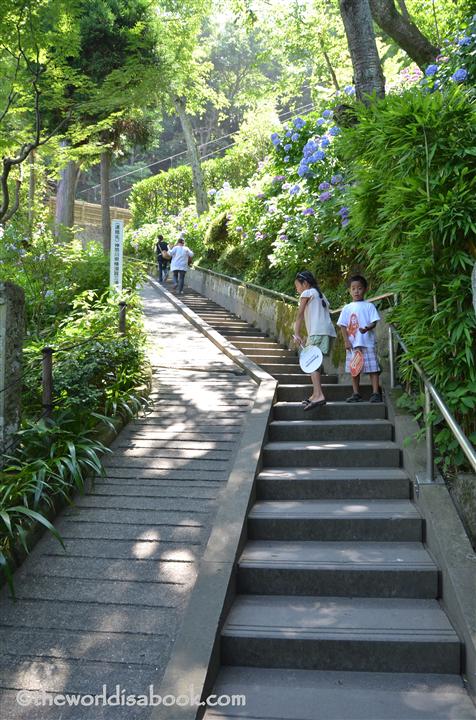 Hasedera stairs