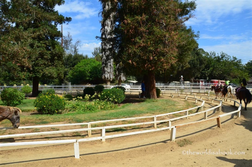 Griffith Park Pony