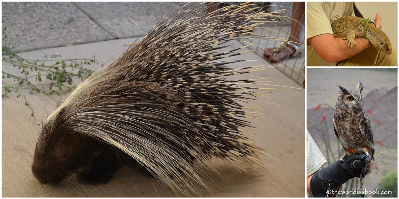 Living Desert Discovery Center