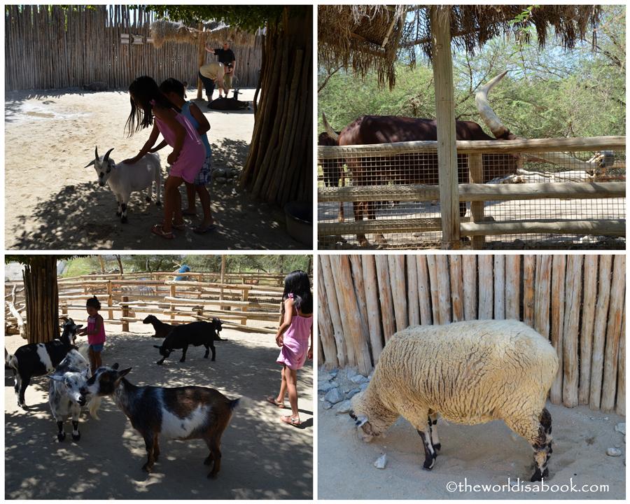 Petting Kraal corral Living Desert