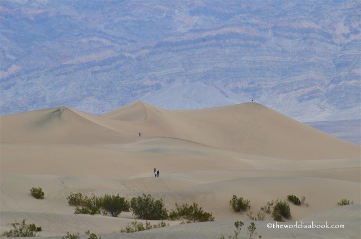 Mesquite Flat sand dunes death valley