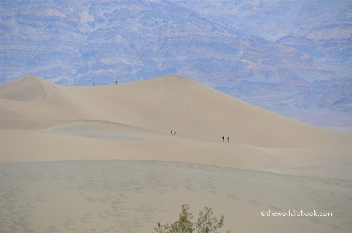 Mesquite Flat Sand Dunes