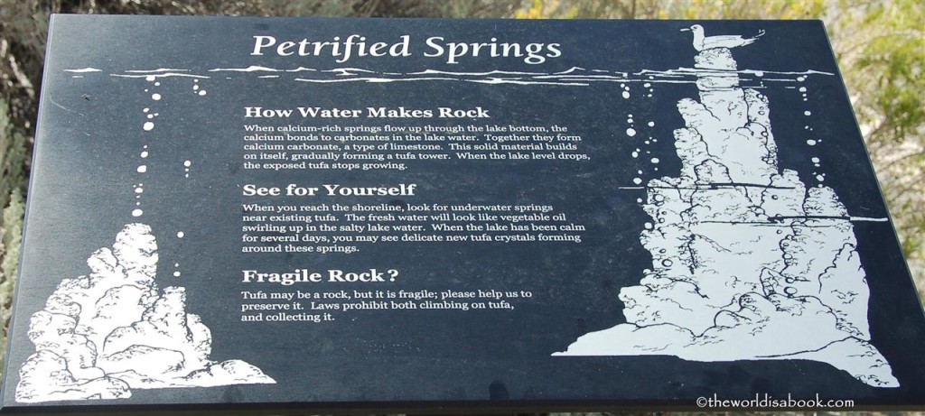 Tufa Petrified Springs Exhibits