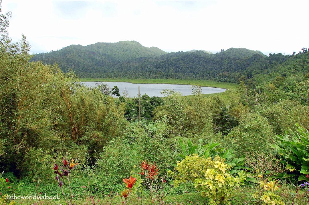 Grand Etang National park Grenada