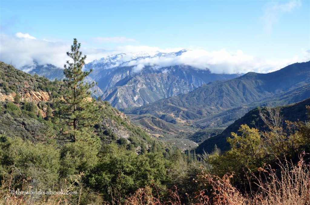 King's Canyon National Park View