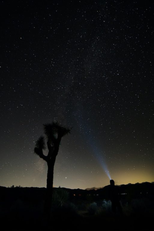 Joshua Tree National Park stargazing