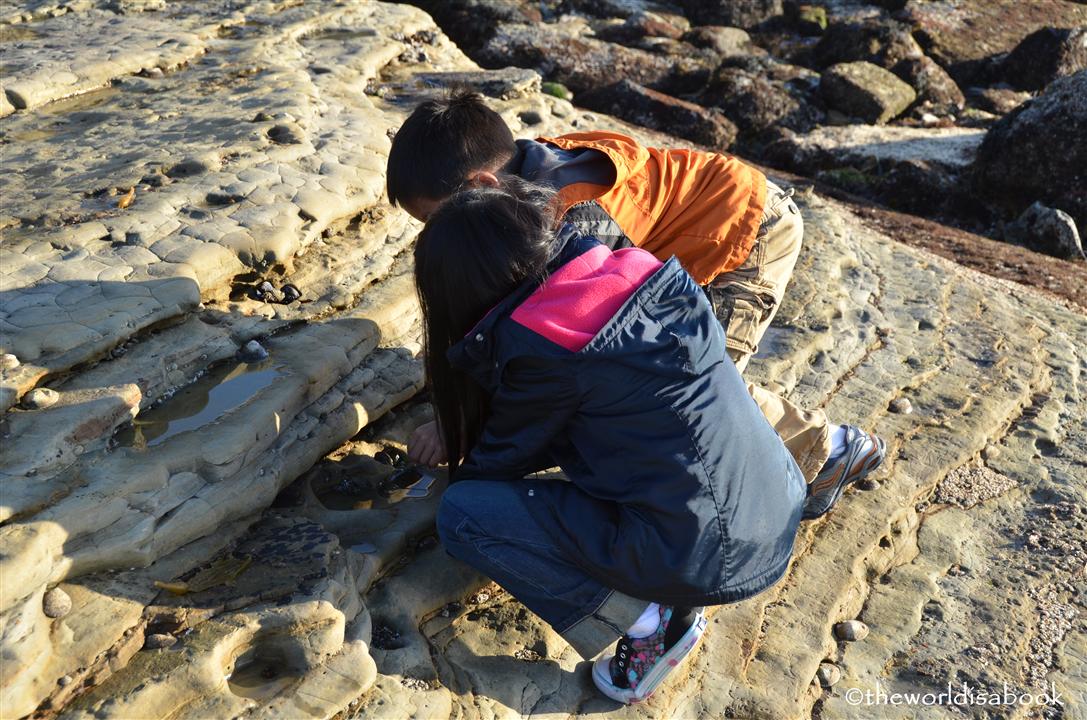 cabrillo national monument tide pools