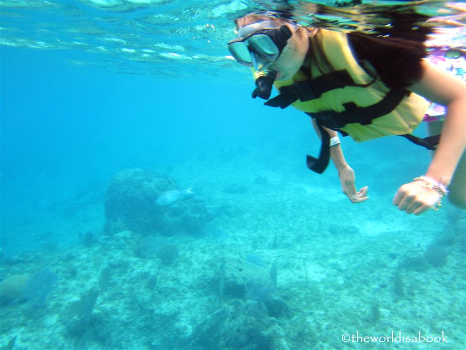 Cozumel snorkel with kids