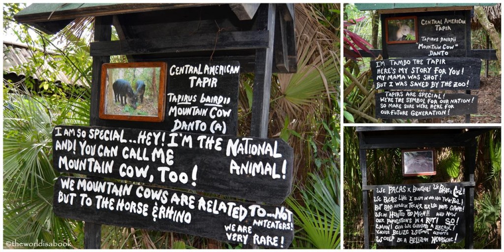 Belize zoo signs