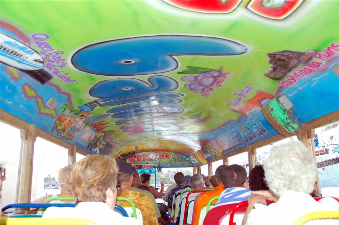 Aruba banana bus tour