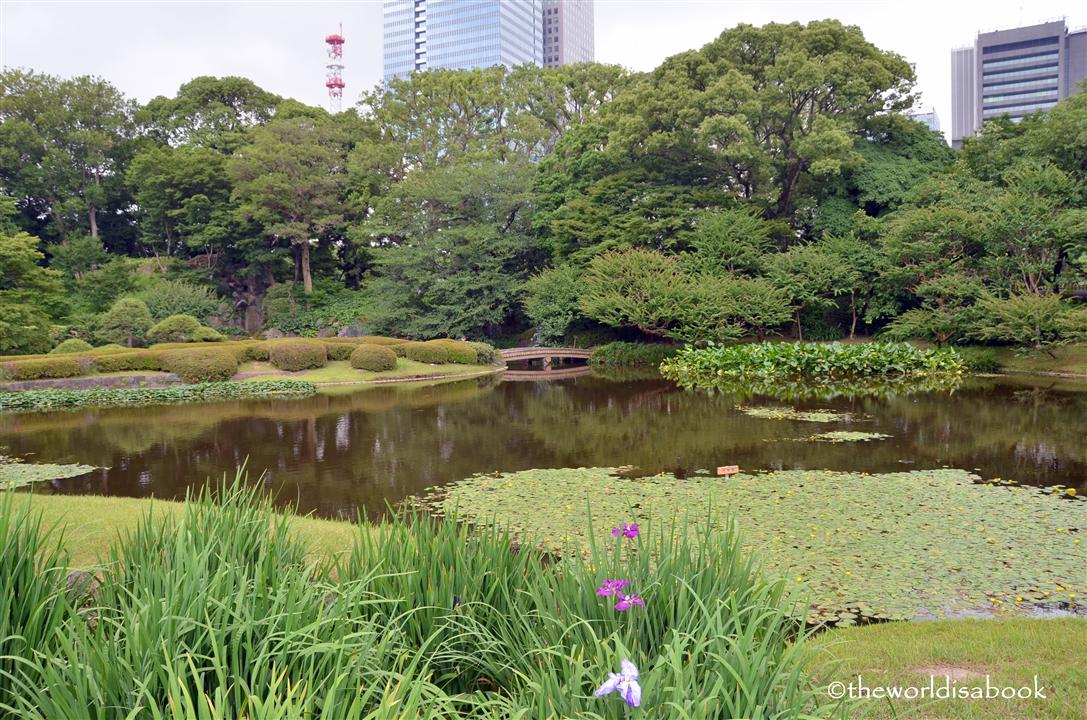 Tokyo Imperial gardens