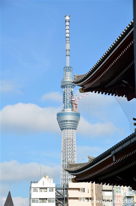 Tokyo sky tree with temple image picture