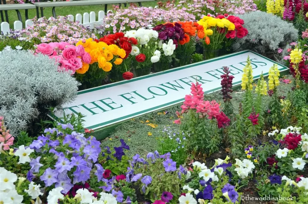Carlsbad Flower fields sign