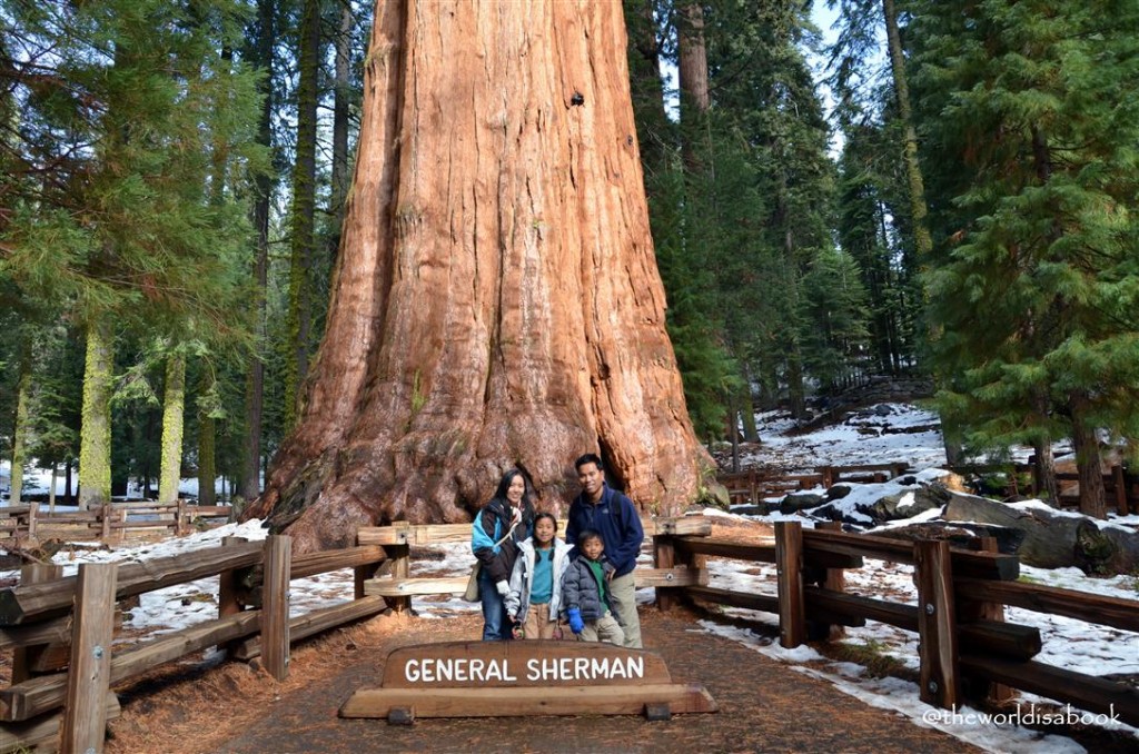 General Sherman Tree in Sequoia National Park