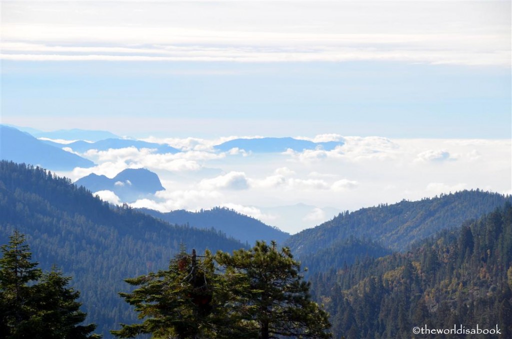 Sequoia National Park General Sherman Highway view