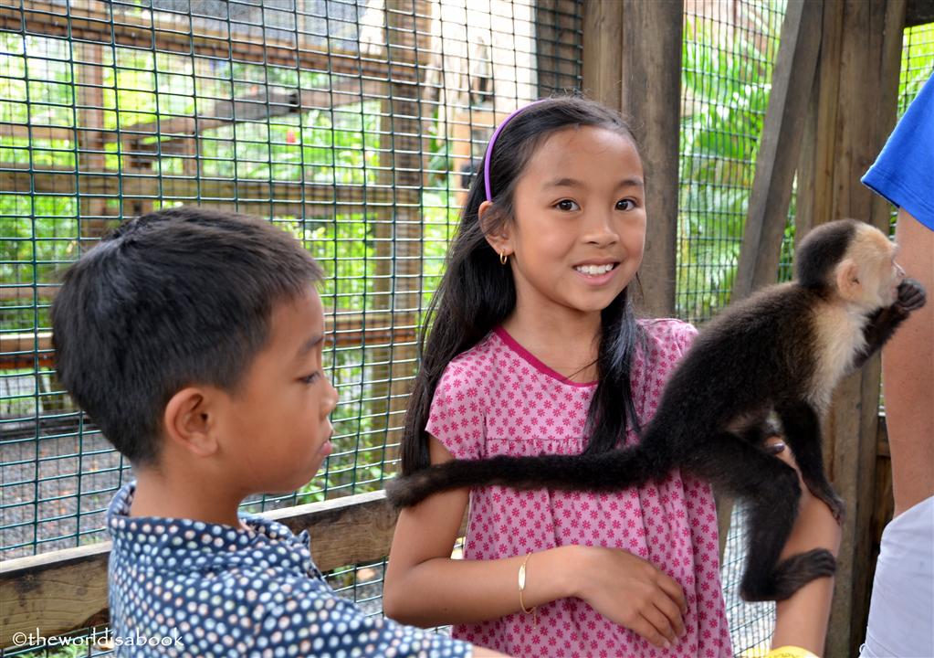 roatan honduras victor bodden monkey business image