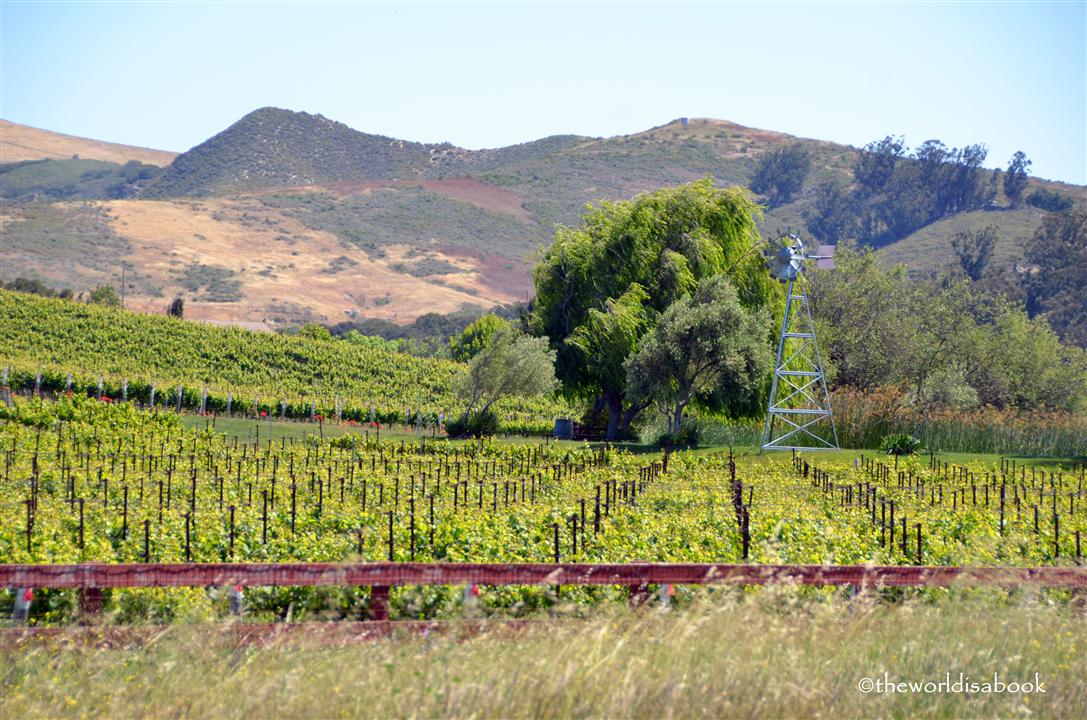 Santa Ynez Valley Solvang winery image