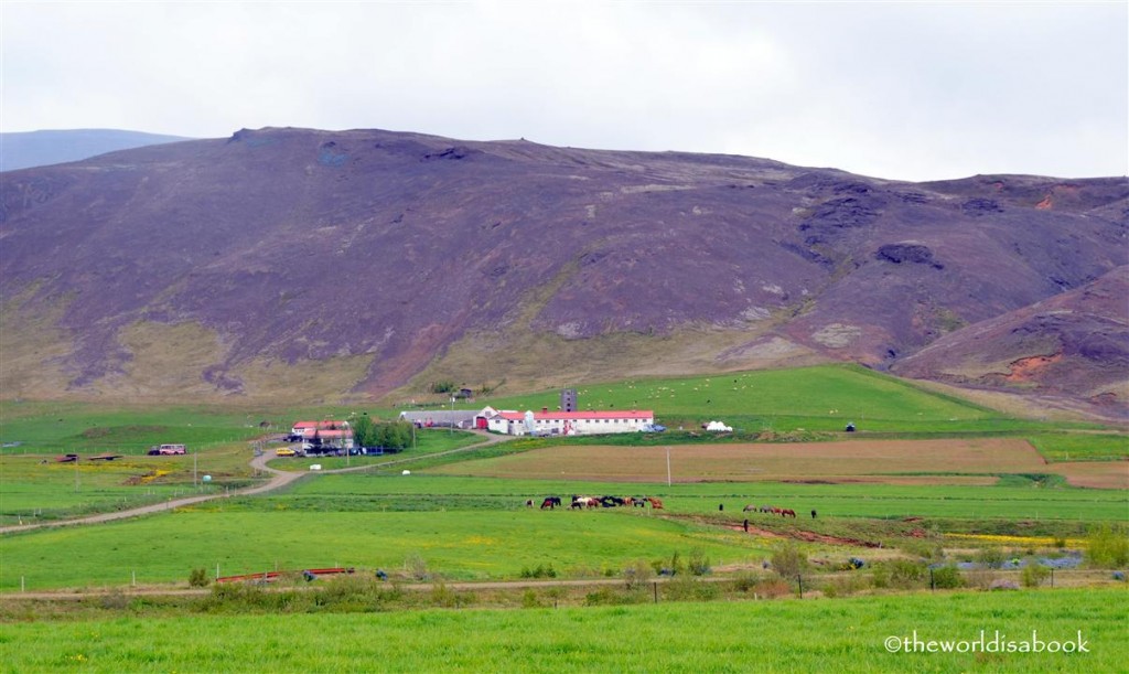 Icelandic landscape