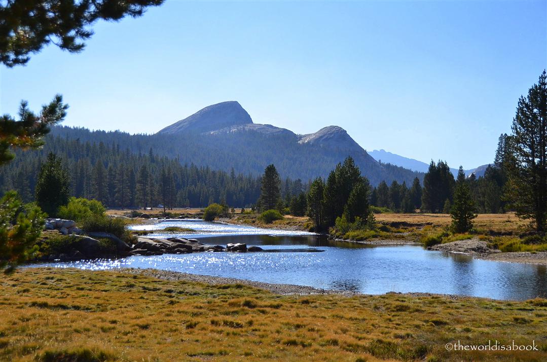 Tuolumne meadows river