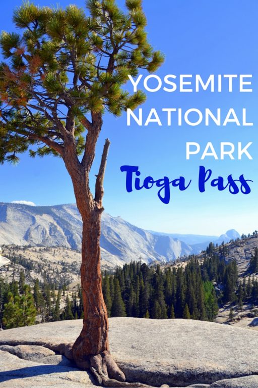 YOSEMITE NATIONAL PARK - Tioga Pass