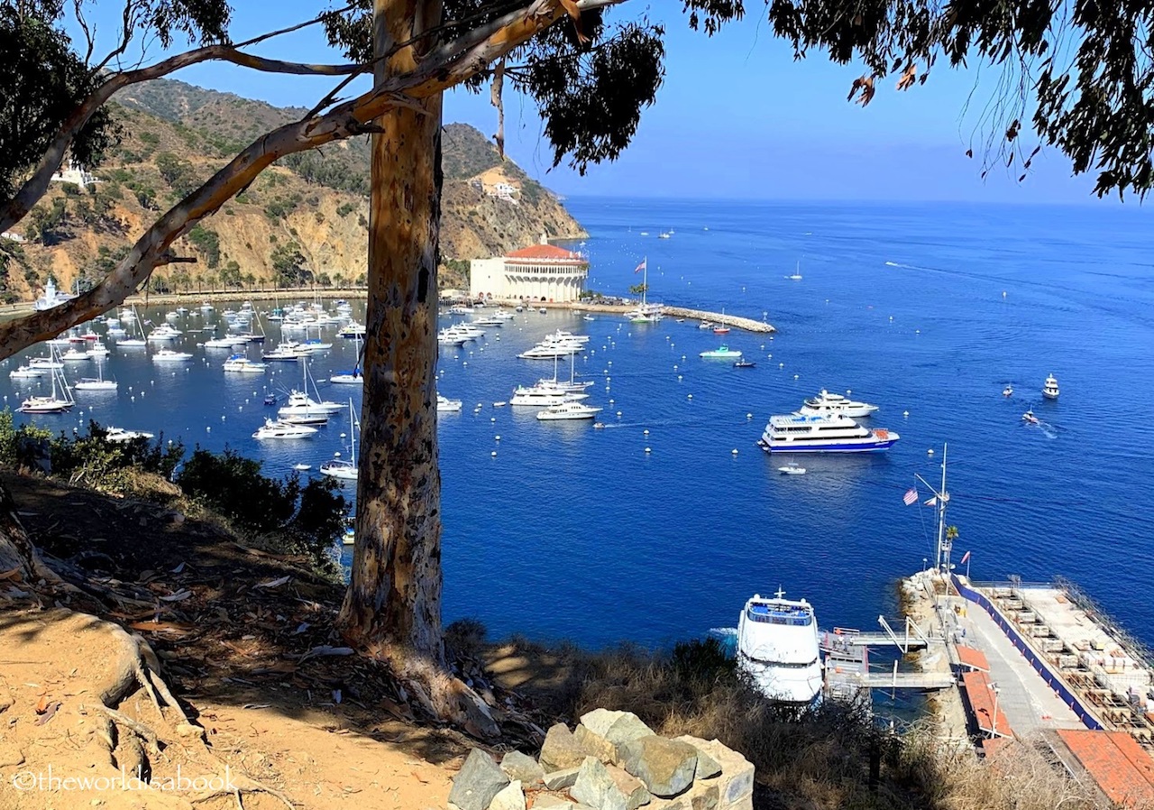 Catalina Island view from Mt Ada