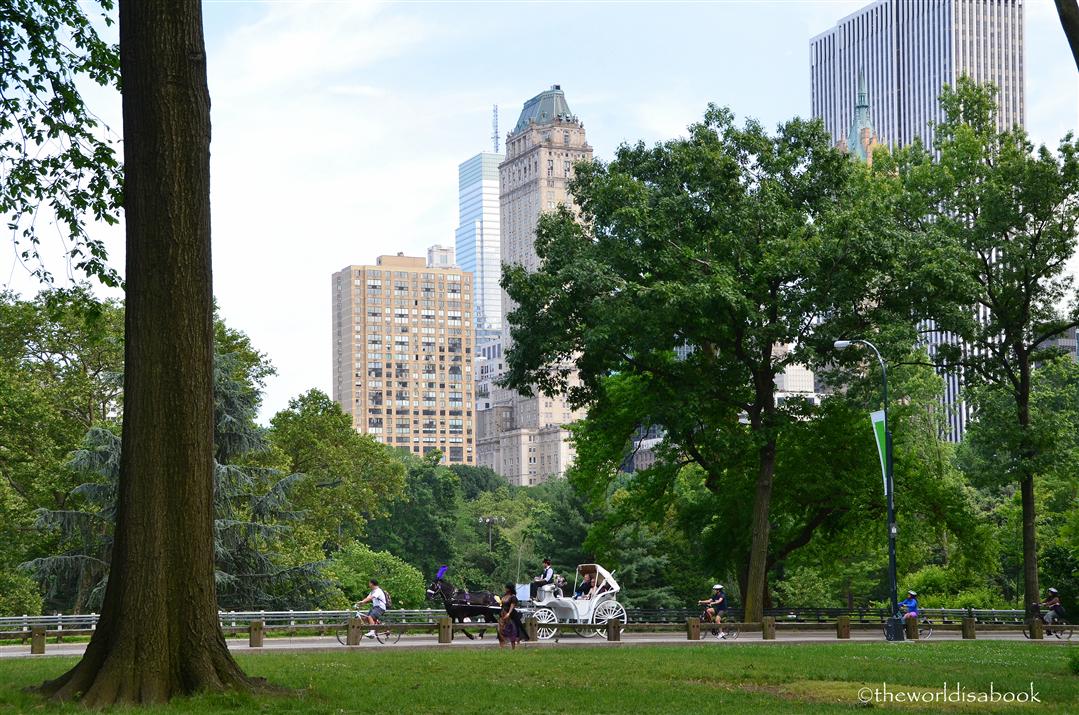 A Stroll Through Central Park in NYC