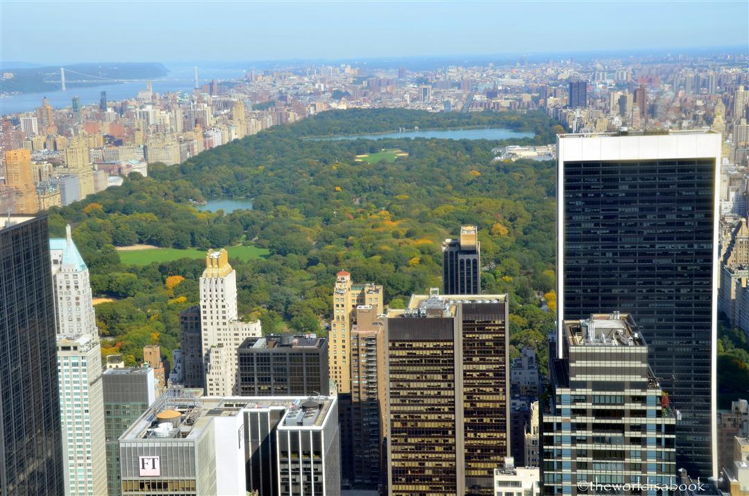 A Stroll Through Central Park in NYC