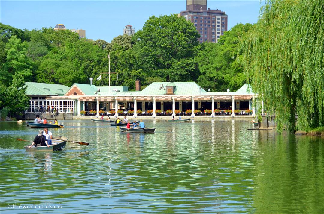 Strolling through Central Park New York City - The World Is A Book