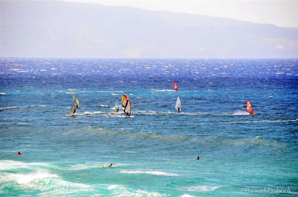 Maui windsurfers