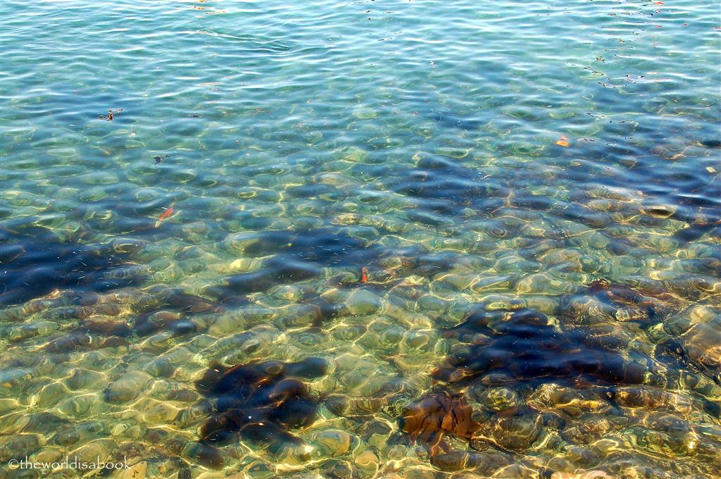 卡塔利娜岛清澈的水