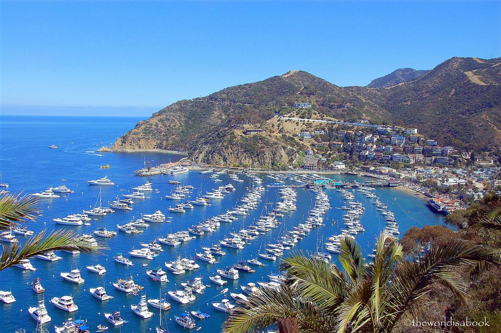 catalina island harbor view