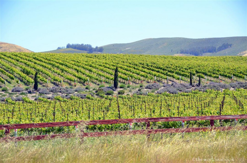 Central California vineyards