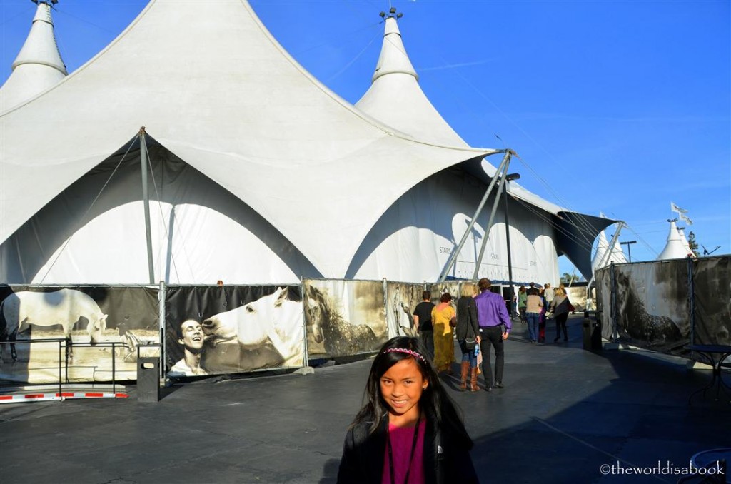 Cavalia show