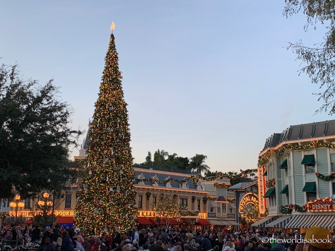 Disneyland CHristmas tree light
