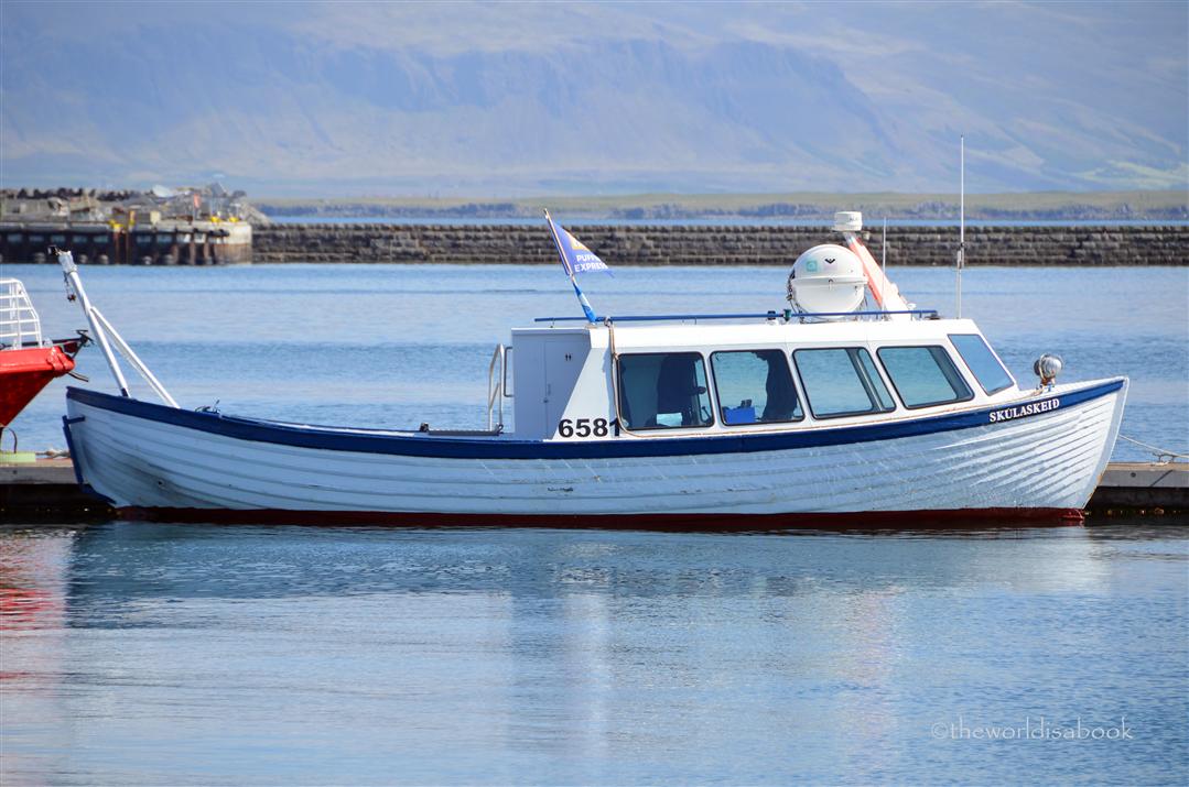 Iceland puffin express boat Skúlaskeið or Old Skúli