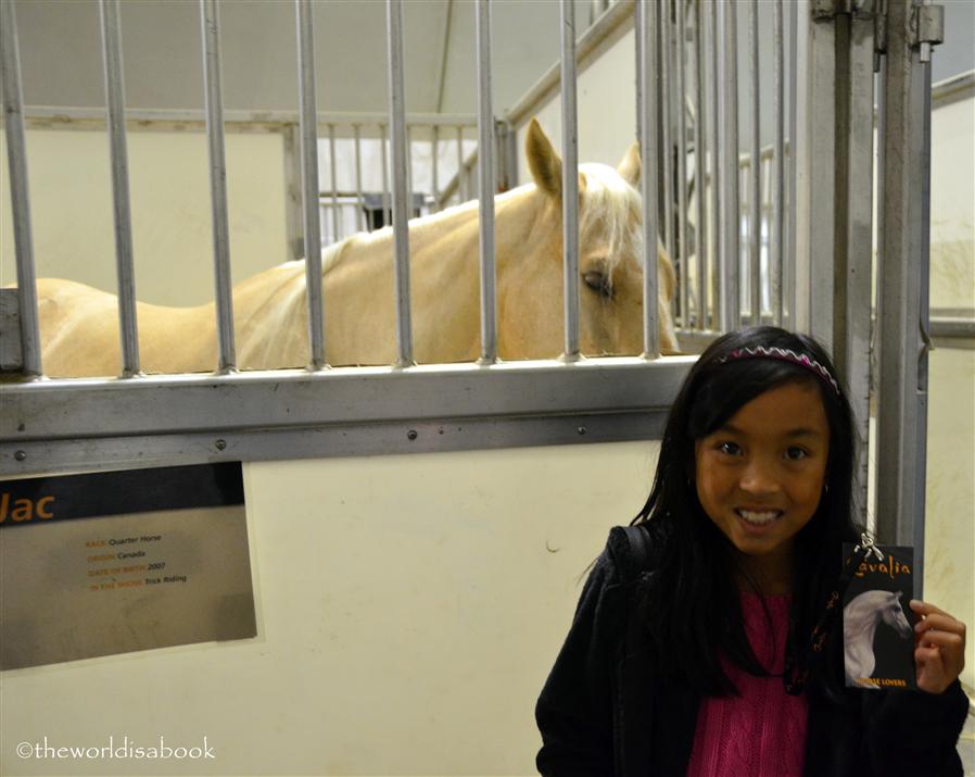 cavalia stable tour