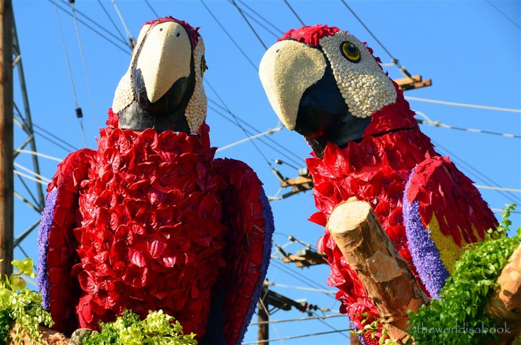 Rose Parade Float 2013 Dole scarlet macaws